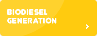 Biodiesel generation