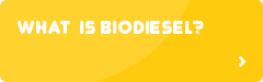 What is Biodiesel