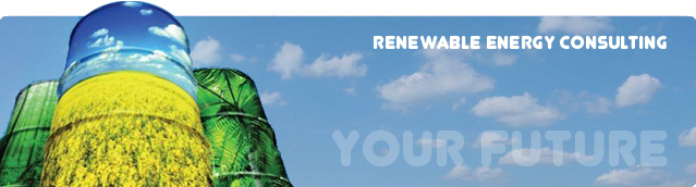 Renewable Energy Consulting Perth WA