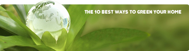 The 10 best ways to green your home